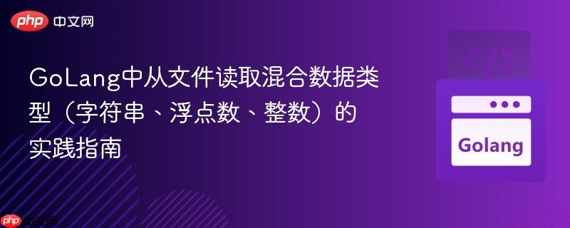 GoLang中从文件读取混合数据类型（字符串、浮点数、整数）的实践指南