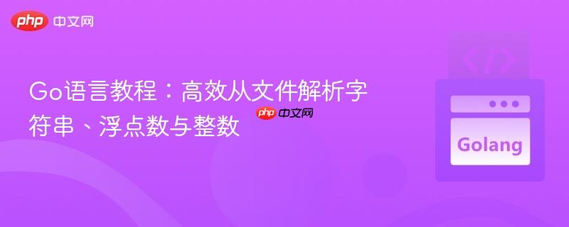 Go语言教程：高效从文件解析字符串、浮点数与整数