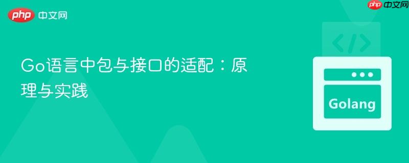 Go语言中包与接口的适配：原理与实践