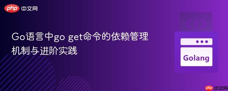 Go语言中go get命令的依赖管理机制与进阶实践