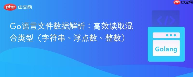 Go语言文件数据解析：高效读取混合类型（字符串、浮点数、整数）