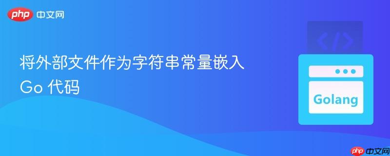 将外部文件作为字符串常量嵌入 Go 代码