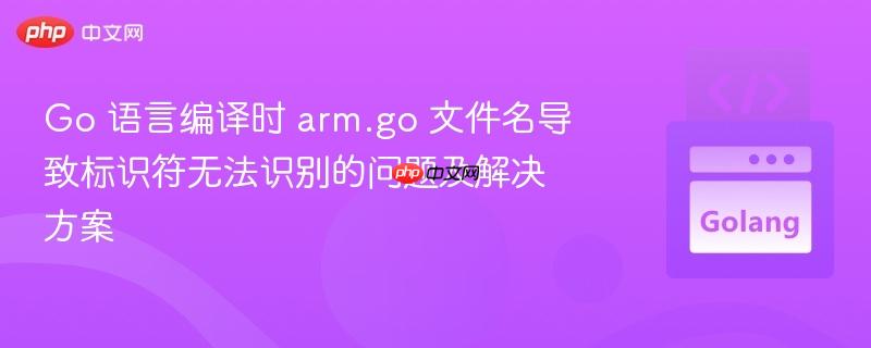Go 语言编译时 arm.go 文件名导致标识符无法识别的问题及解决方案