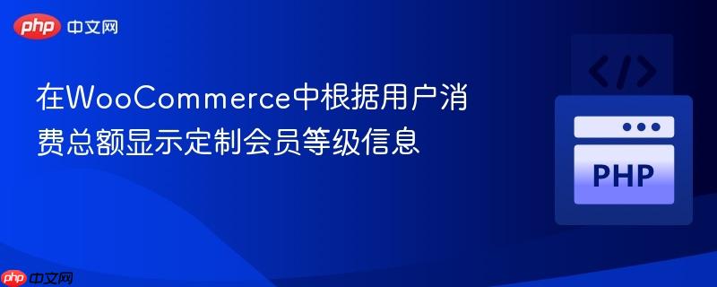 在WooCommerce中根据用户消费总额显示定制会员等级信息