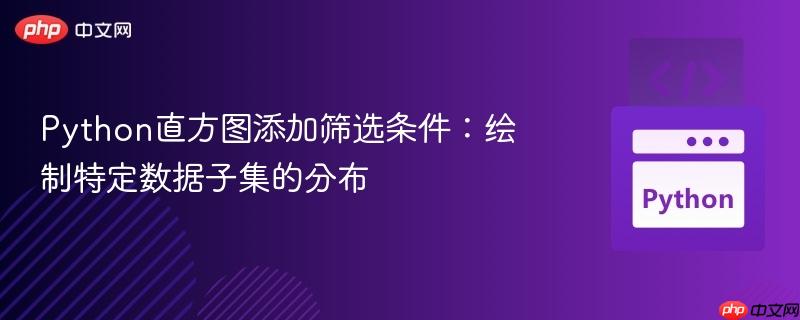 Python直方图添加筛选条件：绘制特定数据子集的分布