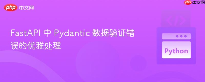 FastAPI 中 Pydantic 数据验证错误的优雅处理