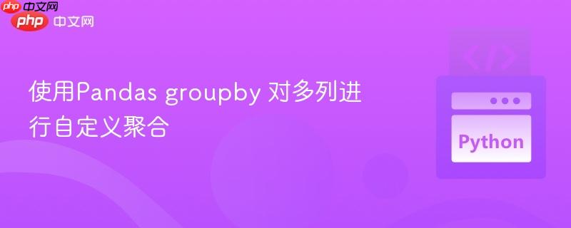 使用Pandas groupby 对多列进行自定义聚合