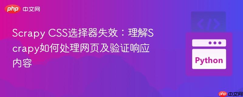 Scrapy CSS选择器失效：理解Scrapy如何处理网页及验证响应内容