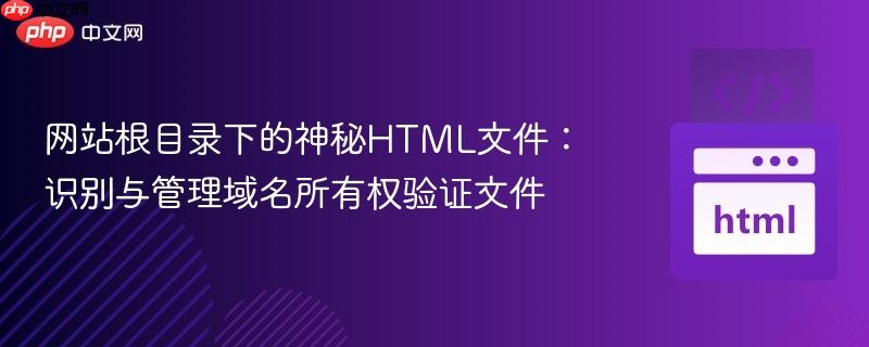 网站根目录下的神秘HTML文件：识别与管理域名所有权验证文件