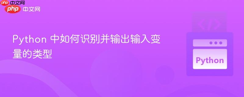 Python 中如何识别并输出输入变量的类型
