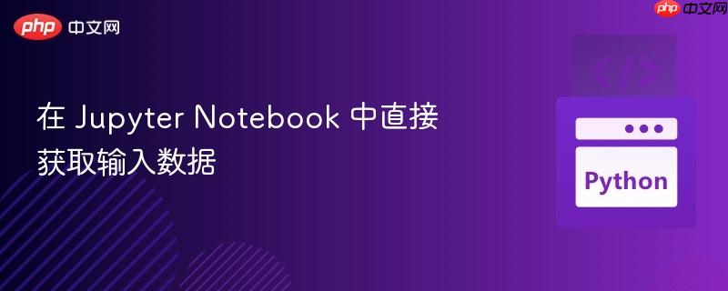 在 Jupyter Notebook 中直接获取输入数据