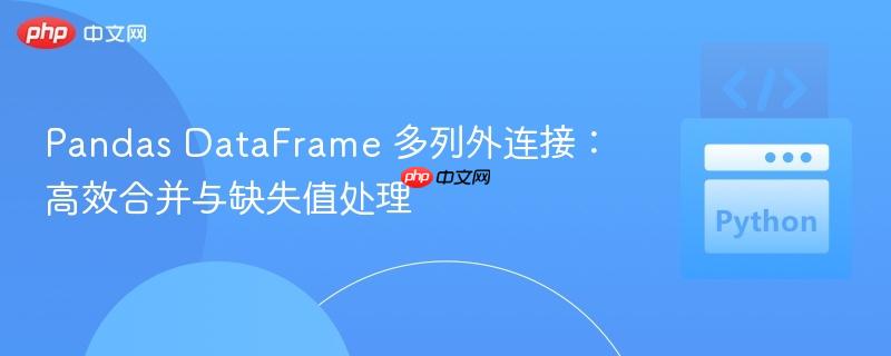 Pandas DataFrame 多列外连接：高效合并与缺失值处理