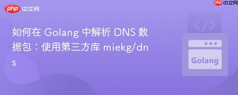 如何在 Golang 中解析 DNS 数据包：使用第三方库 miekg/dns