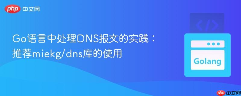 Go语言中处理DNS报文的实践：推荐miekg/dns库的使用