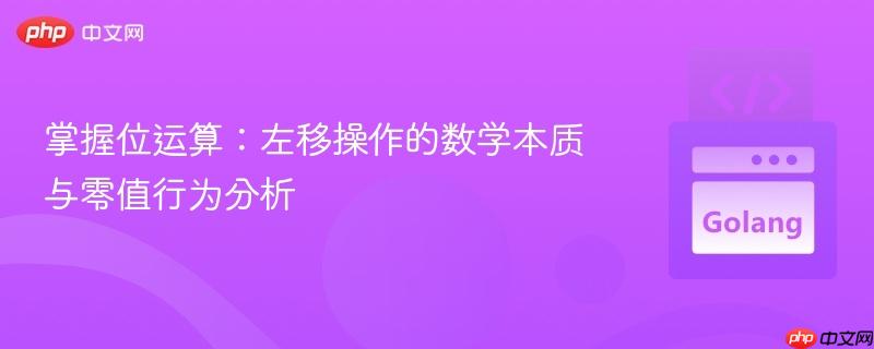 掌握位运算：左移操作的数学本质与零值行为分析