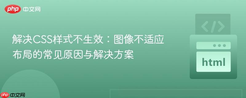 解决CSS样式不生效：图像不适应布局的常见原因与解决方案
