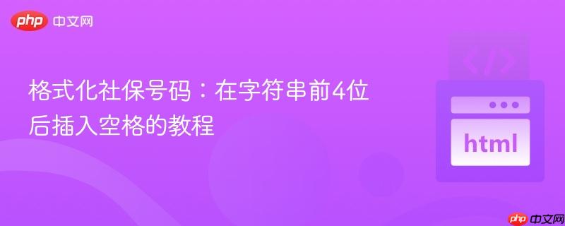 格式化社保号码：在字符串前4位后插入空格的教程