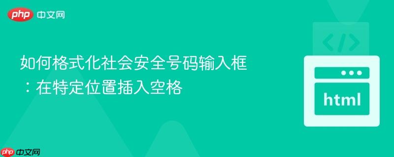 如何格式化社会安全号码输入框：在特定位置插入空格