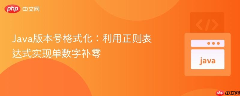 Java版本号格式化：利用正则表达式实现单数字补零
