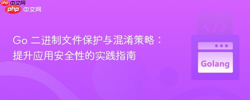 Go 二进制文件保护与混淆策略：提升应用安全性的实践指南