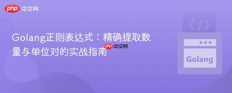 Golang正则表达式：精确提取数量与单位对的实战指南