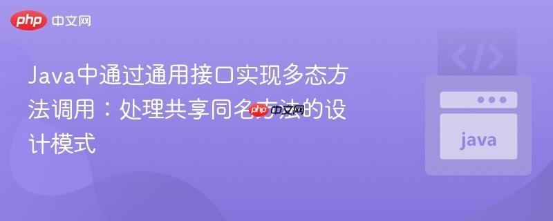 Java中通过通用接口实现多态方法调用：处理共享同名方法的设计模式
