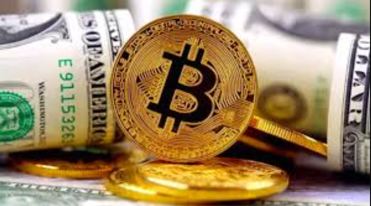 山寨币（altcoin）是什么？如何在海量项目中发现价值币？ - 创想鸟