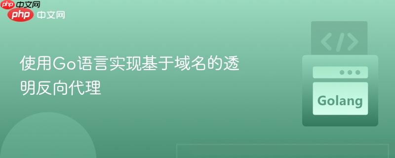 使用Go语言实现基于域名的透明反向代理