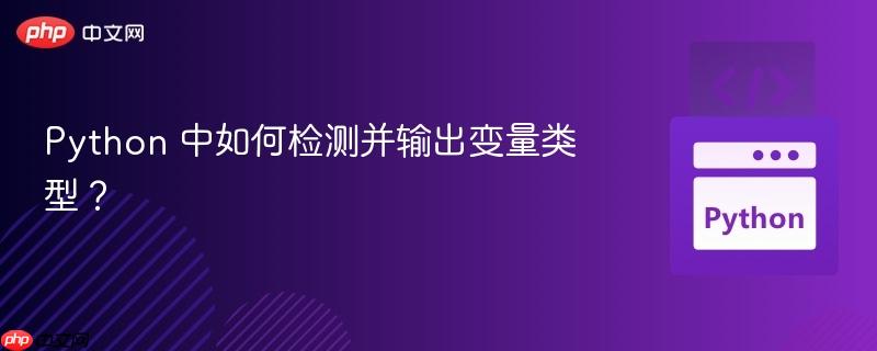 Python 中如何检测并输出变量类型？