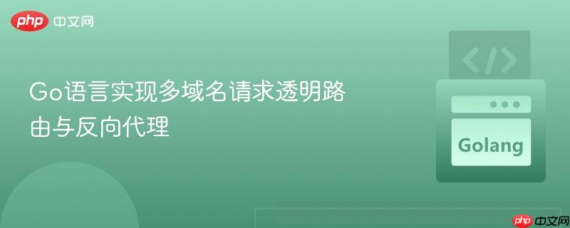 Go语言实现多域名请求透明路由与反向代理