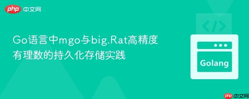 Go语言中mgo与big.Rat高精度有理数的持久化存储实践