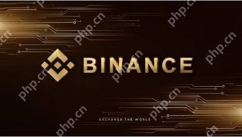 客服小何是什么币？币安新上线项目全解析 - 创想鸟