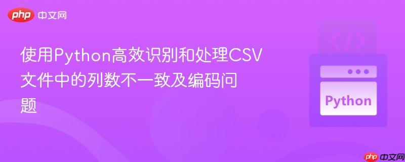 使用Python高效识别和处理CSV文件中的列数不一致及编码问题