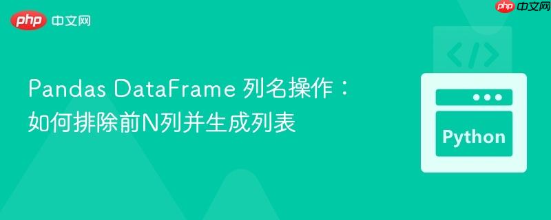 Pandas DataFrame 列名操作：如何排除前N列并生成列表
