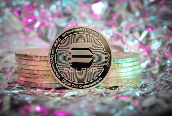 哪些指标评估SOL币价值？长期持有需注意什么？ - 创想鸟