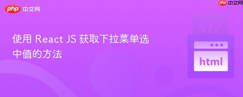 使用 React JS 获取下拉菜单选中值的方法