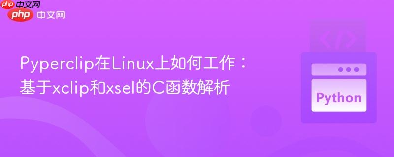 Pyperclip在Linux上如何工作：基于xclip和xsel的C函数解析