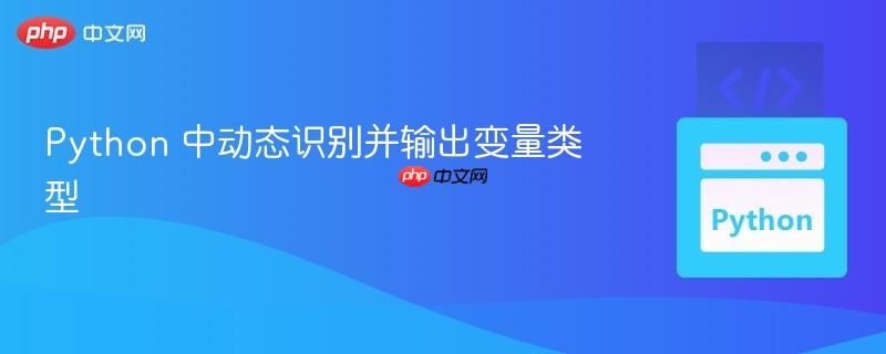 Python 中动态识别并输出变量类型