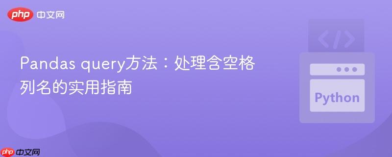 Pandas query方法：处理含空格列名的实用指南