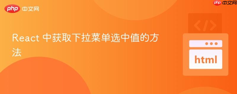 React 中获取下拉菜单选中值的方法