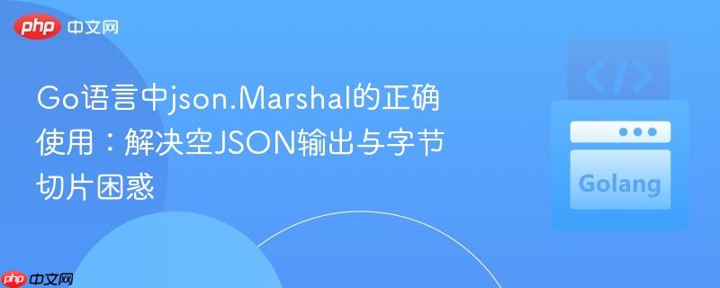 Go语言中json.Marshal的正确使用：解决空JSON输出与字节切片困惑