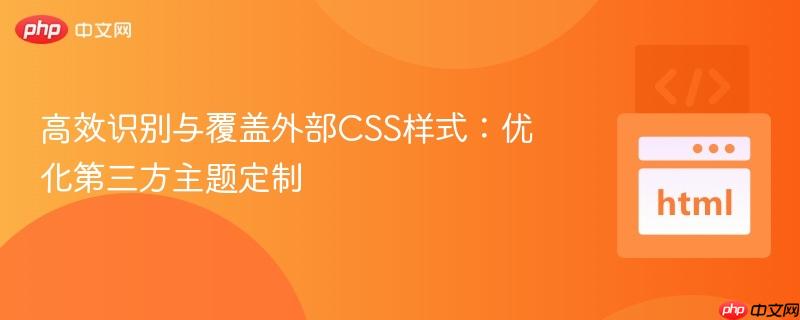 高效识别与覆盖外部CSS样式：优化第三方主题定制