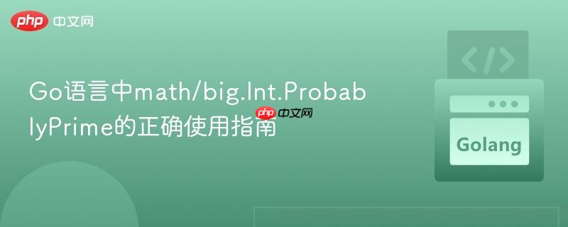Go语言中math/big.Int.ProbablyPrime的正确使用指南