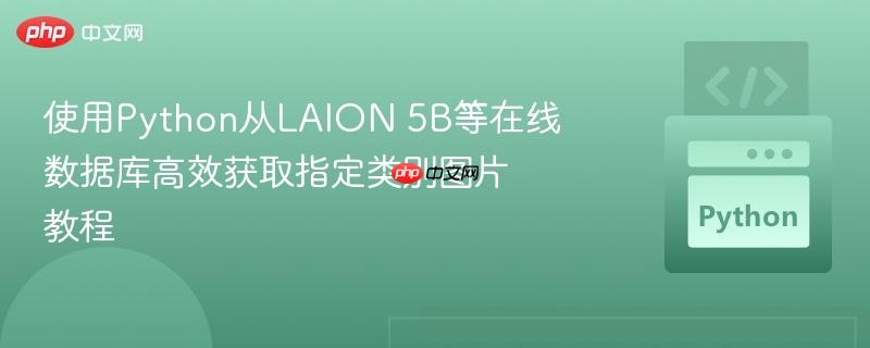 使用Python从LAION 5B等在线数据库高效获取指定类别图片教程