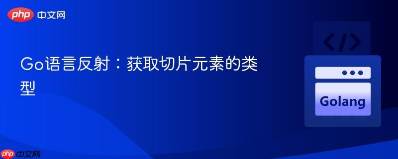 Go语言反射：获取切片元素的类型