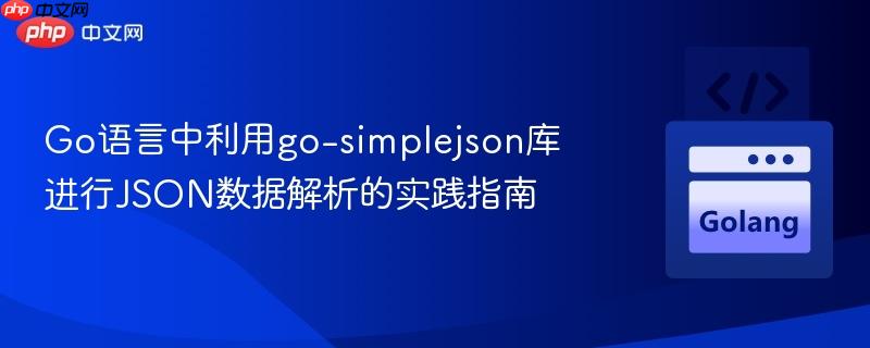 Go语言中利用go-simplejson库进行JSON数据解析的实践指南