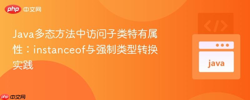 Java多态方法中访问子类特有属性：instanceof与强制类型转换实践