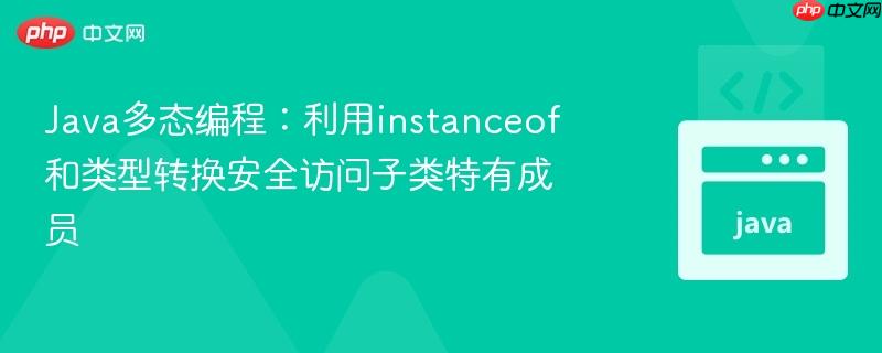 Java多态编程：利用instanceof和类型转换安全访问子类特有成员