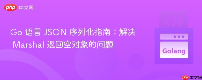Go 语言 JSON 序列化指南：解决 Marshal 返回空对象的问题