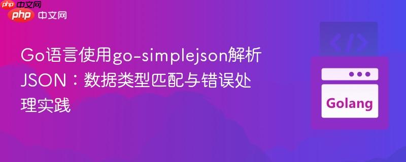 Go语言使用go-simplejson解析JSON：数据类型匹配与错误处理实践